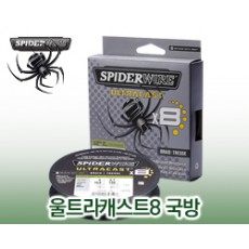 스파이더 울트라캐스트8 국방